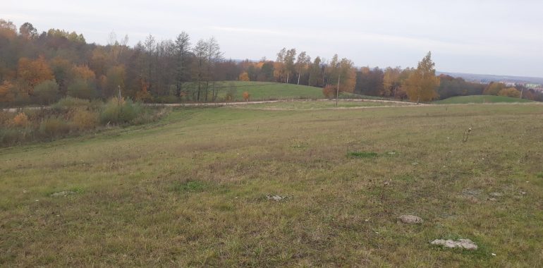 OGŁOSZENIE: Sprzedam kilkanaście działek do wyboru 10, 15, 20 arów.
