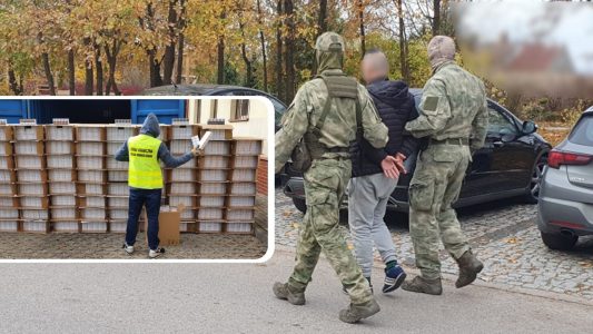 Projekt bez tytułu