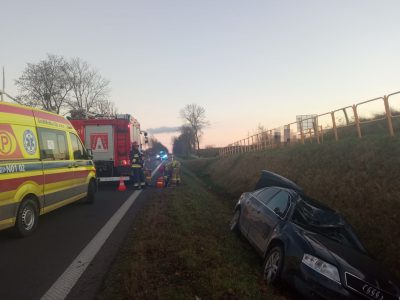 Zderzenie z łosiem
