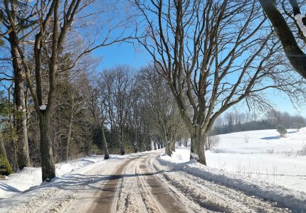 droga, zima, ślisko, śnieg, krajobraz, jazda (1)