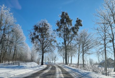 droga, zima, ślisko, śnieg, krajobraz, jazda (7)