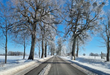 droga, zima, ślisko, śnieg, krajobraz, jazda (9)